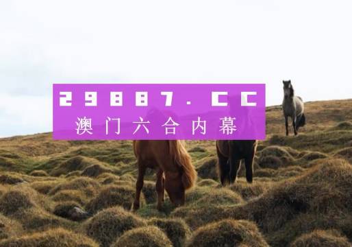 今晚澳門9點35分的彩票開獎，期待與驚喜交織的時刻，澳門今晚9點35分彩票開獎，期待與驚喜交匯的時刻