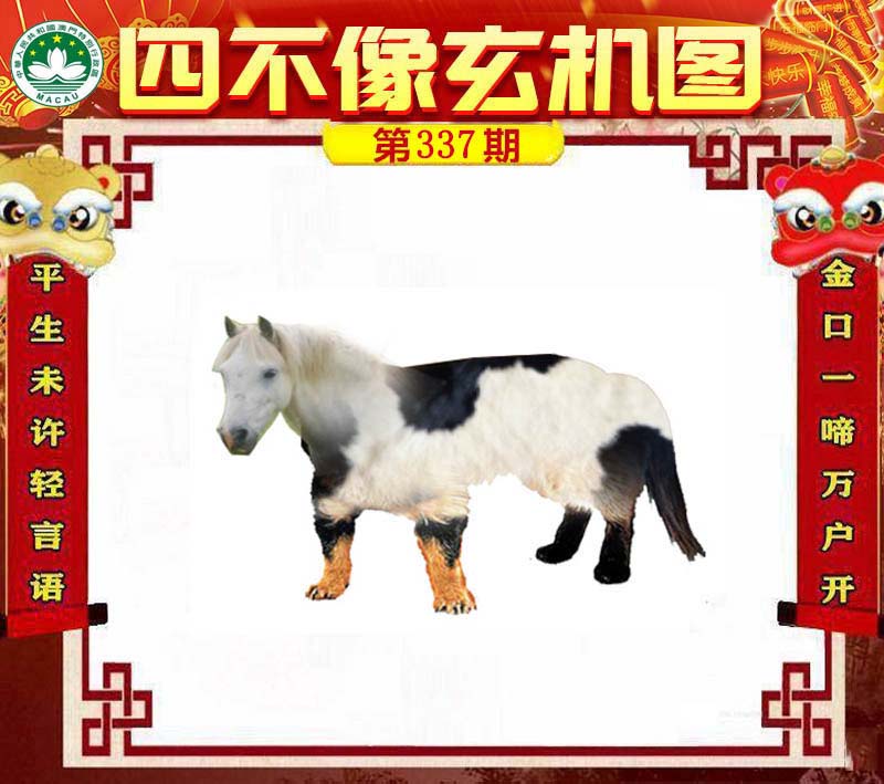 王中王一肖必中四不像，揭秘彩票背后的秘密與策略，揭秘彩票背后的秘密與策略，王中王一肖四不像彩票解析