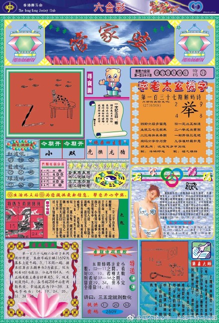 王中王四不像必出一肖圖——揭秘彩票背后的秘密，揭秘彩票背后的秘密，王中王四不像必出一肖圖的真相探索