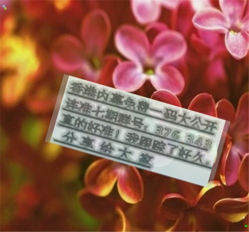 新聞咨詢 第56頁