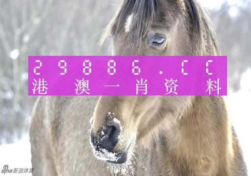 澳門一肖一碼100%精準(zhǔn)的背景故事，澳門精準(zhǔn)一肖一碼傳奇背景故事