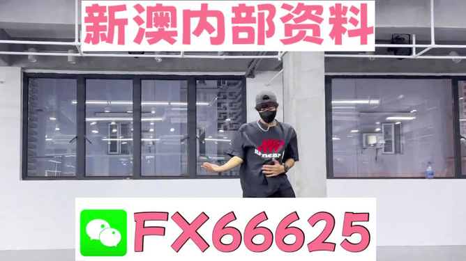 澳門管家婆100中，探索其神秘面紗與實(shí)用指南，澳門管家婆100，神秘面紗背后的實(shí)用指南
