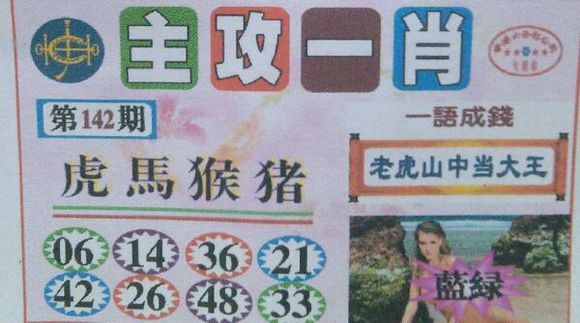 王中王號(hào)碼一肖，揭秘背后的秘密與策略，揭秘王中王號(hào)碼一肖背后的秘密與策略之道