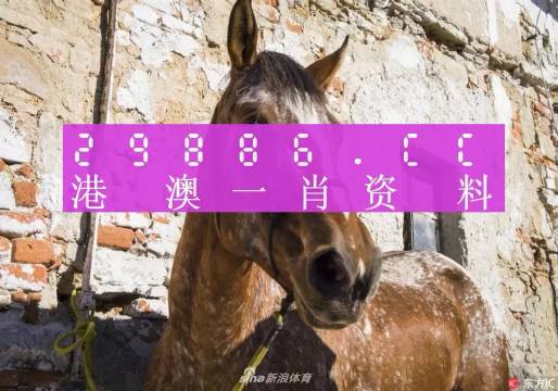 王中王內(nèi)部一肖中特，揭秘背后的秘密故事與獨(dú)特之處，揭秘王中王內(nèi)部一肖中特的獨(dú)特秘密與故事