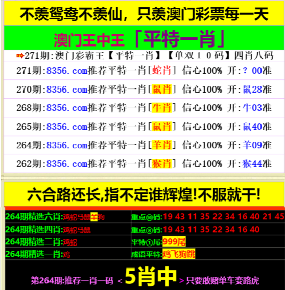 王中王資料一肖中特開，深度解析與探索，王中王資料解析，一肖中特開深度探索揭秘