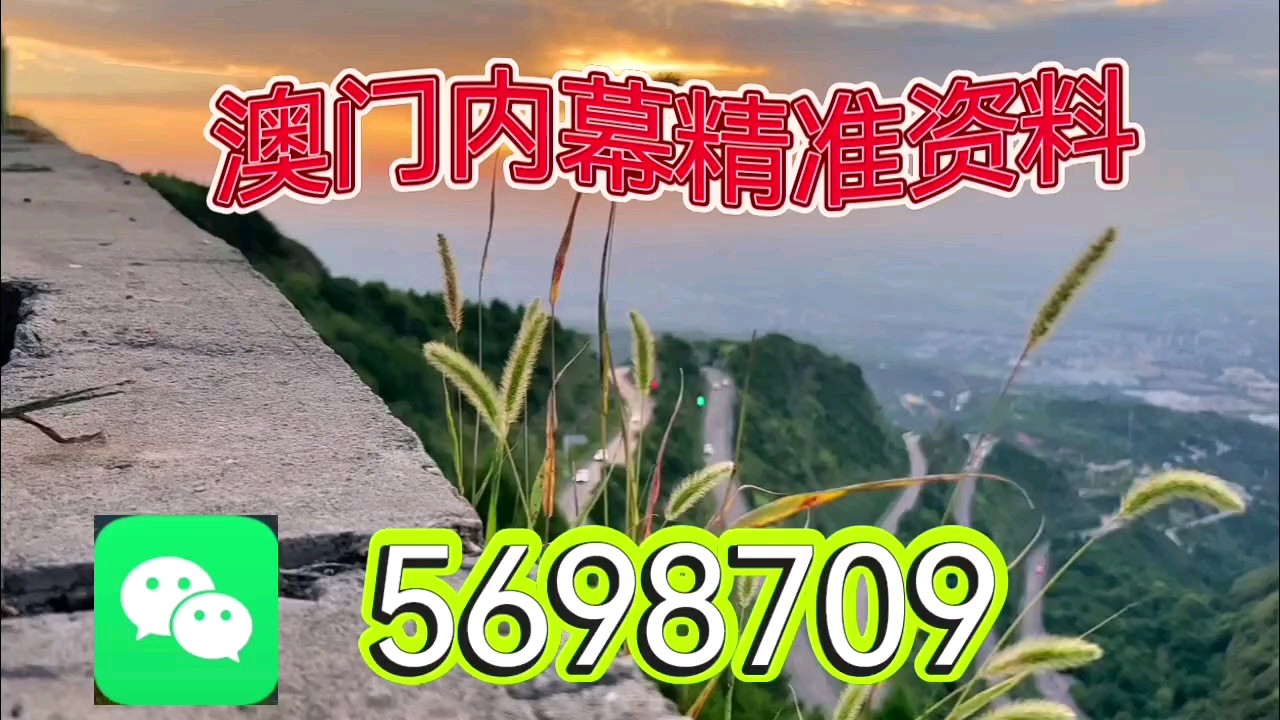 新澳天天開彩資料大全——探索彩票世界的奧秘，新澳天天開彩資料大全，揭秘彩票世界的神秘面紗