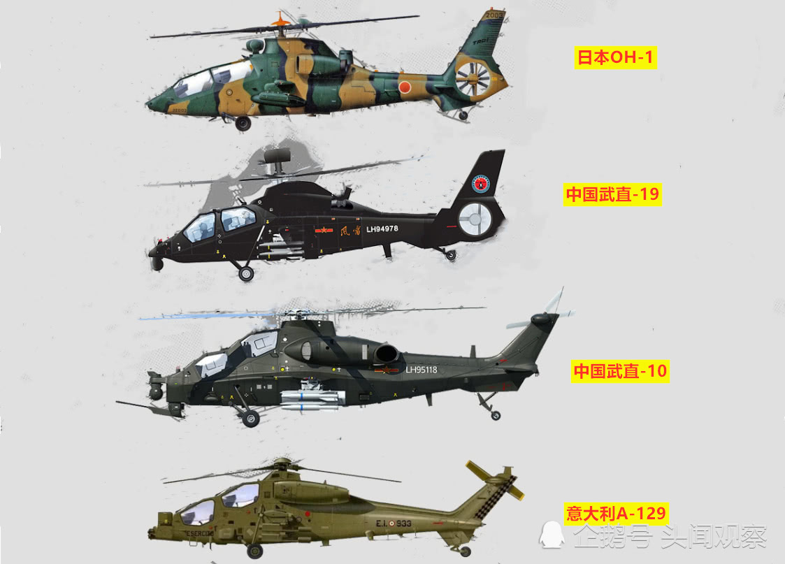 武直19與武直10，中國軍用直升機的驕傲，中國軍用直升機驕傲，武直19與武直10的輝煌