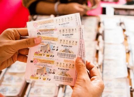 香港平特一肖王中王高手的秘密策略與技巧探索，香港平特高手探索，一肖王中王策略與技巧揭秘