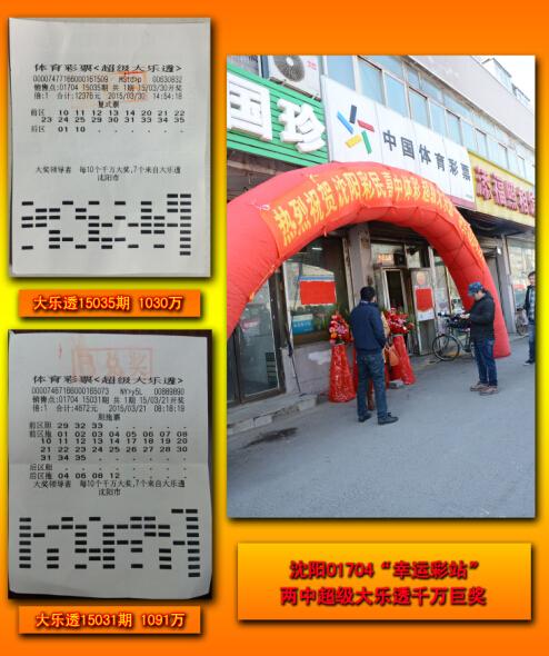 王中王平特一肖二選一，深度解析與SEO優(yōu)化策略，王中王平特一肖二選一深度解析與SEO策略優(yōu)化指南