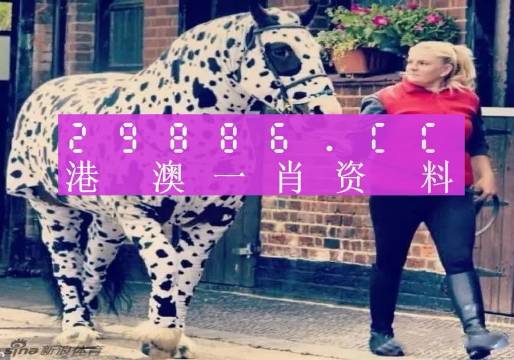 香港王中王一肖免費資料，揭秘背后的秘密與深度解析，香港王中王一肖免費資料深度解析，揭秘背后的秘密