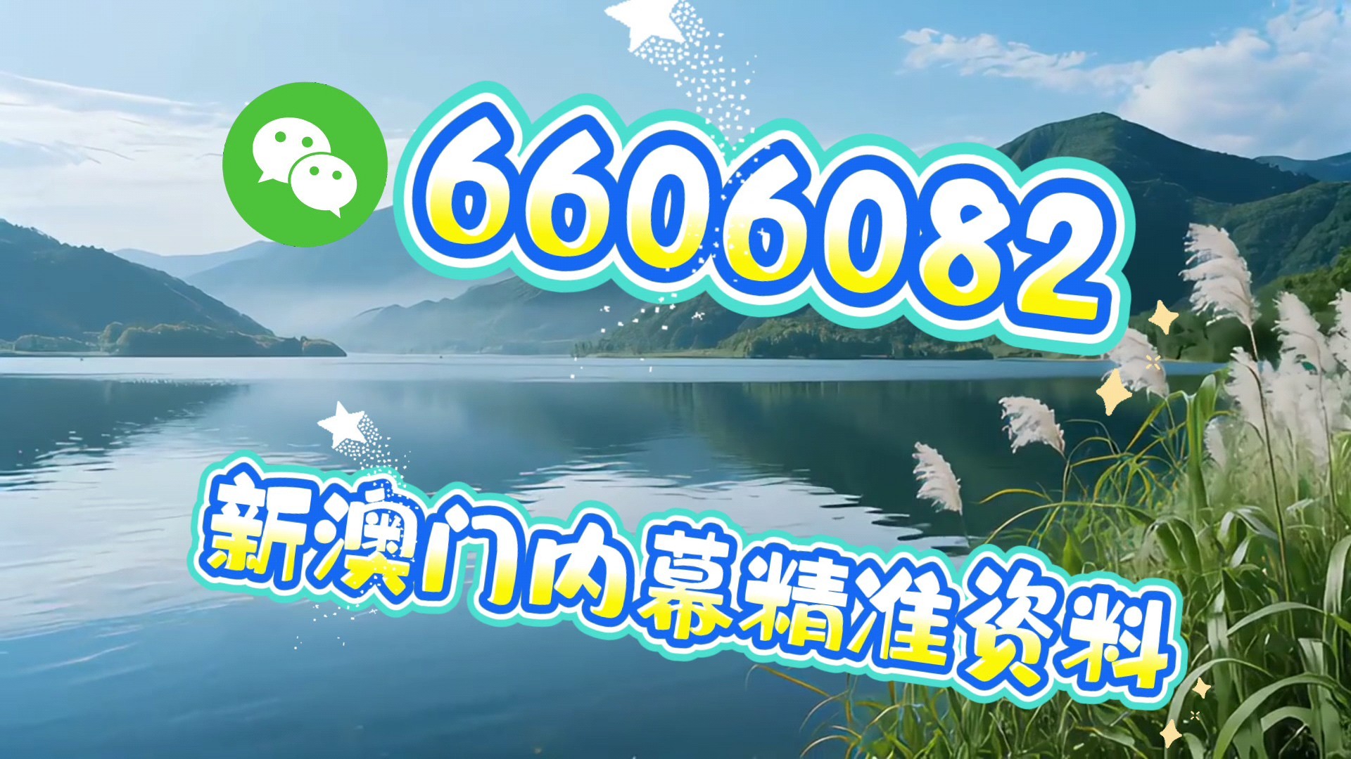 今晚澳門一肖一碼必中，揭秘彩票秘密，帶你走向成功之路，揭秘彩票秘密，澳門今晚一肖一碼必中，引領(lǐng)成功之路