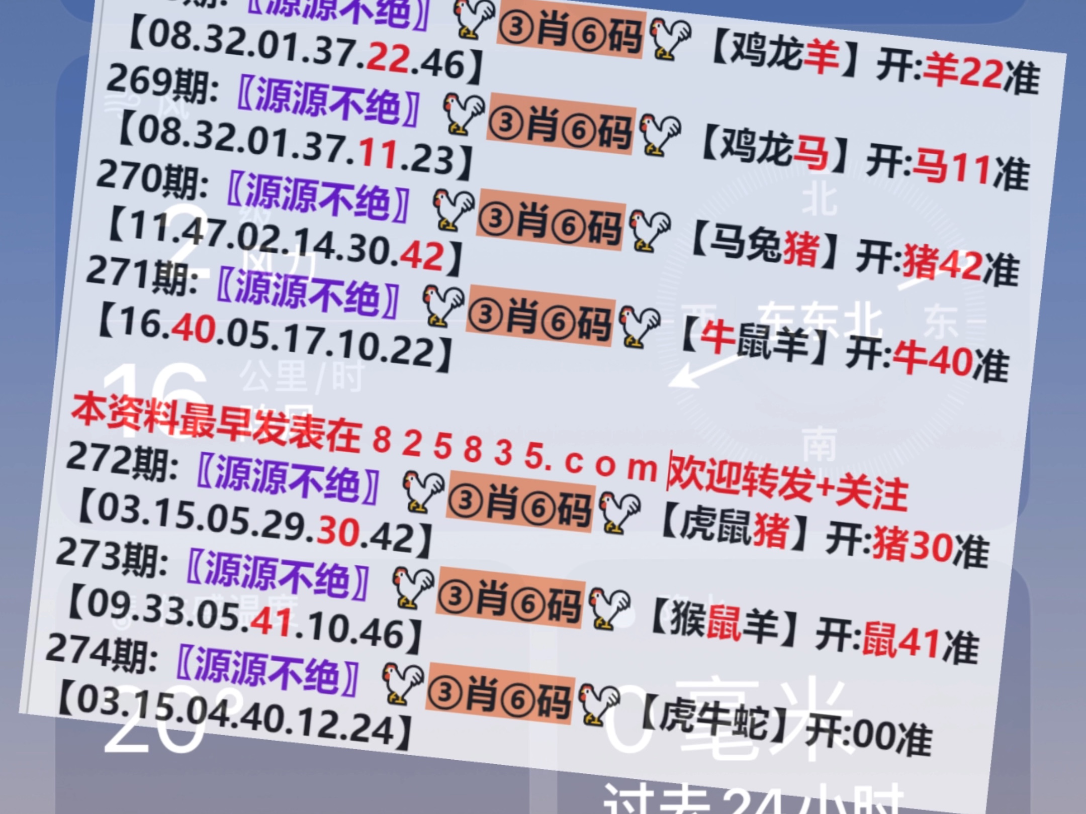 澳門一肖一碼開獎結果，揭秘彩票背后的秘密，澳門彩票開獎結果揭秘，一肖一碼背后的秘密