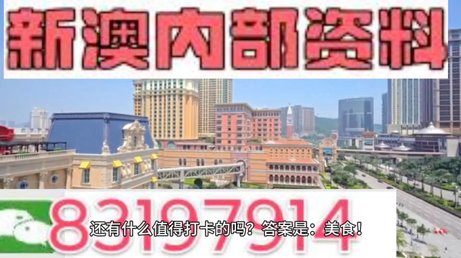 新澳門天天資料，探索與解讀，新澳門天天資料，深度探索與解讀