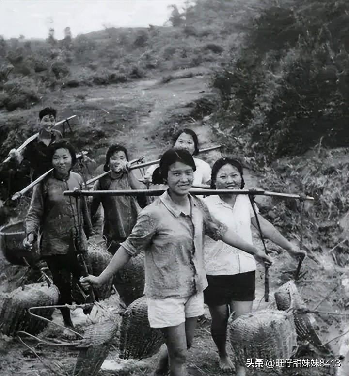 關(guān)于49圖庫圖片資料，豐富資源一網(wǎng)打盡，49圖庫，圖片資源豐富，一網(wǎng)打盡！