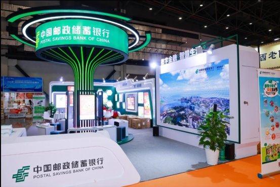 探索未來的澳門，2025年澳門天天展望，澳門未來展望，探索之路與2025年展望