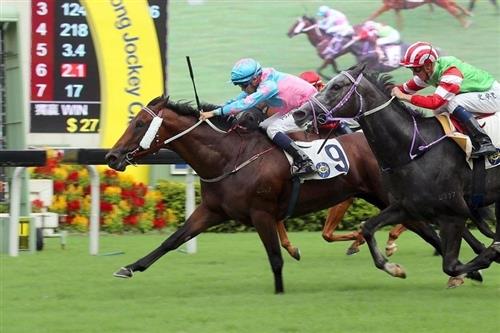 探索香港馬會官網(wǎng)，7777788888的門戶，探索香港馬會官網(wǎng)，門戶7777788888