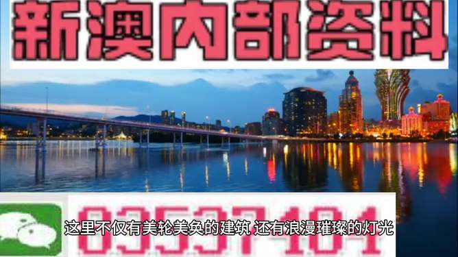 新澳新澳門正版資料，探索與解析，新澳新澳門正版資料深度解析與探索