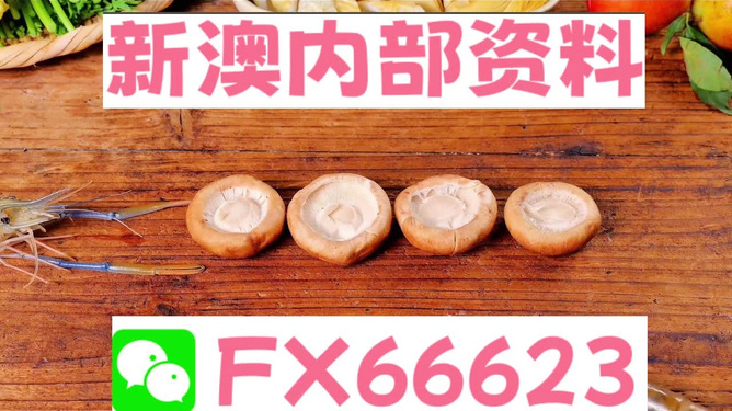 新澳正版資料免費(fèi)提供，全面解析與獲取指南，新澳正版資料全面解析與獲取指南，免費(fèi)提供的指南