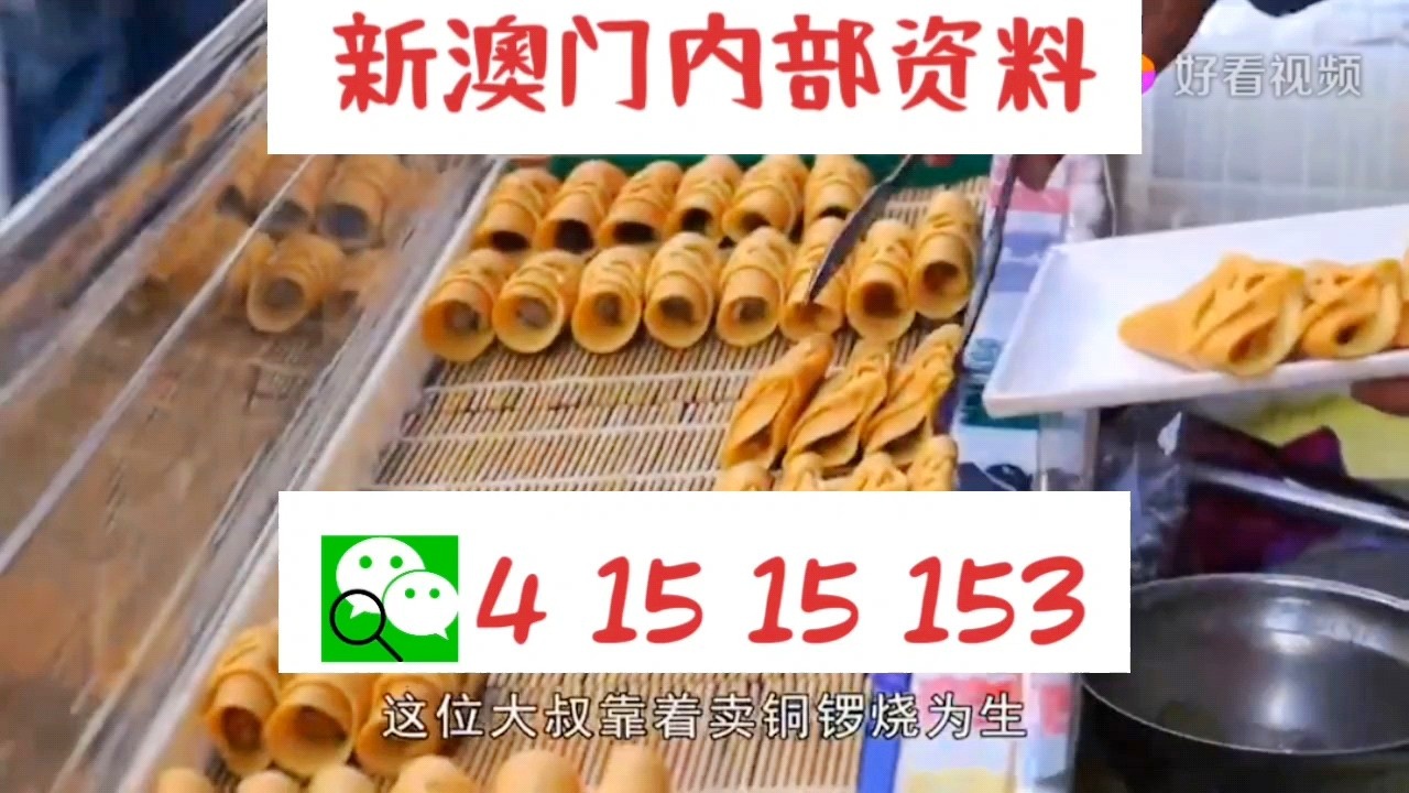 新奧門天天好彩，探索澳門的魅力與好運，澳門魅力與好運探索，新奧門天天好彩