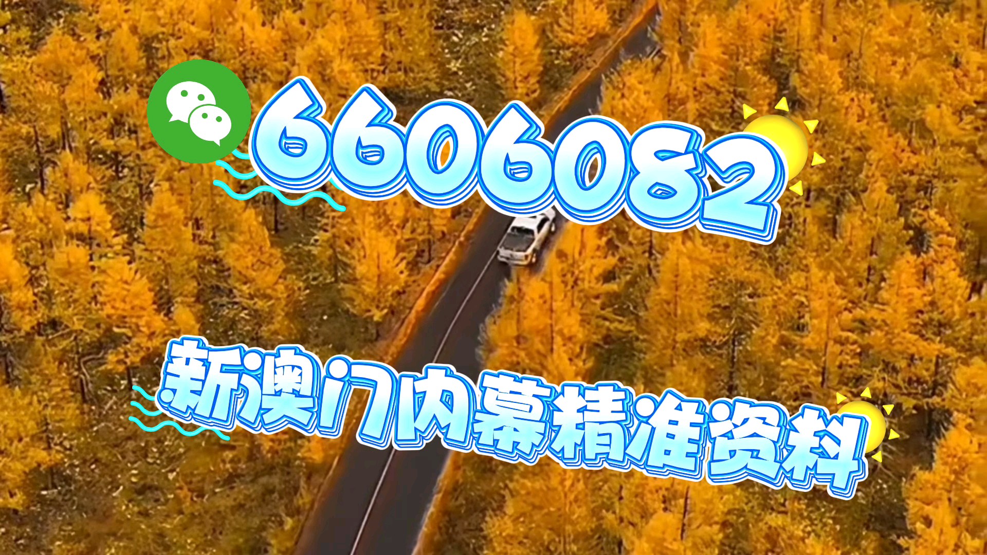 新澳門一肖一碼中恃馬，探索與解析，澳門一肖一碼中恃馬，探索與解析