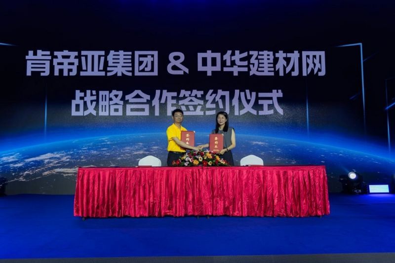 中國戰(zhàn)略網(wǎng)官網(wǎng)SEO文章，中國戰(zhàn)略網(wǎng)官網(wǎng)SEO策略與技巧詳解