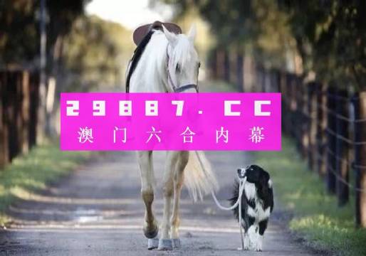 澳門正版49圖庫資料免費，探索與解析，澳門正版49圖庫資料解析與探索