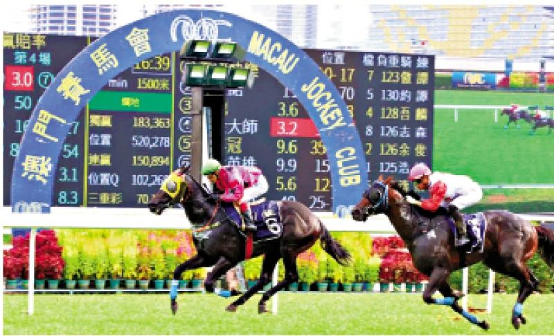 澳門賽馬會，歷史、文化與激情的交融，澳門賽馬會，歷史、文化與激情的盛會