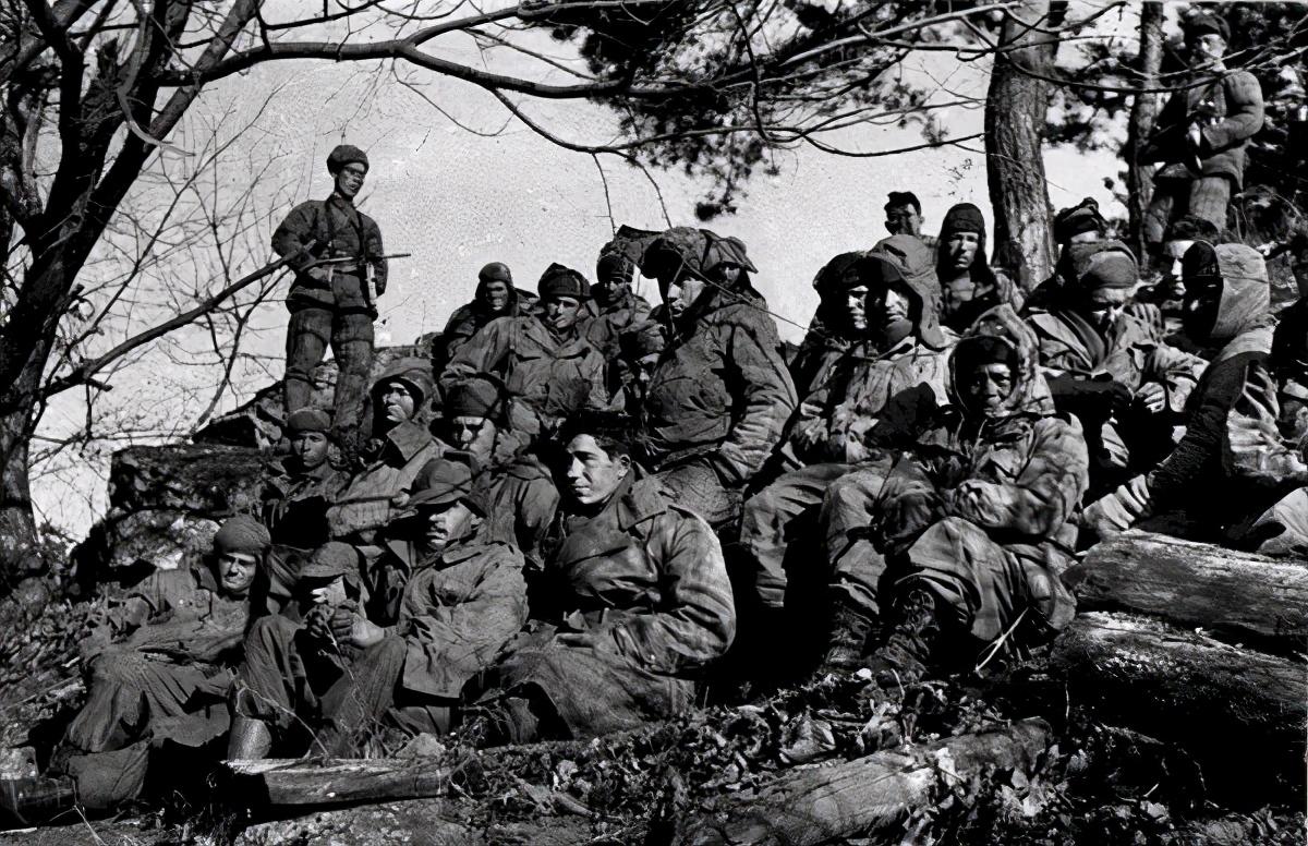 王中王119期指一生肖，深度解析與預(yù)測，王中王119期生肖深度解析與預(yù)測，揭秘未來走向