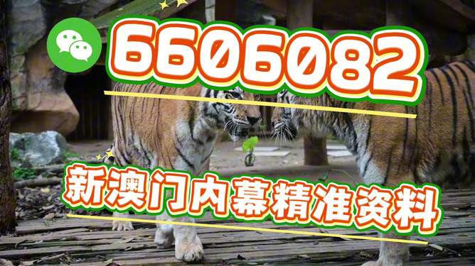 澳門今晚必開一肖一特，探索生肖彩票的魅力與預(yù)測，澳門生肖彩票探索，魅力揭秘與今晚預(yù)測一肖一特