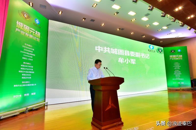 功效與作用/神奇療效（或傳統(tǒng)草藥療效）