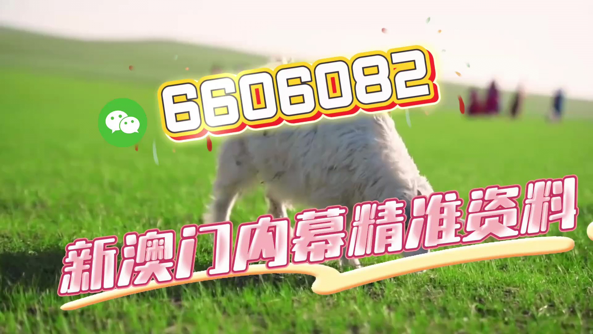 新澳門期期準(zhǔn)，探索澳門的最新魅力與獨(dú)特之處，探索澳門最新魅力與獨(dú)特之處的精彩之旅