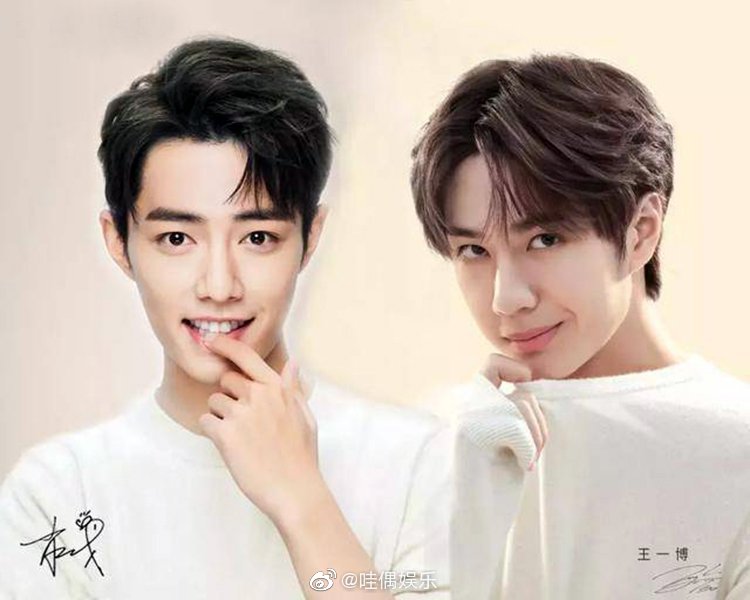 王中王一肖資料深度解析，一探究竟，王中王一肖資料深度解析，揭秘真相