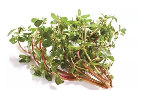 澳門 第195頁(yè)