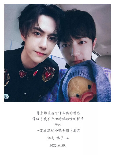 王中王一肖中特一肖精準(zhǔn)預(yù)測(cè)——揭秘生肖運(yùn)勢(shì)與未來(lái)展望，揭秘生肖運(yùn)勢(shì)預(yù)測(cè)，王中王一肖精準(zhǔn)預(yù)測(cè)未來(lái)展望