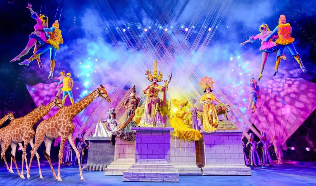 新奧門天天開將資料大全——全面解析與實用指南，新奧門天天開將資料大全，全面解析與指南