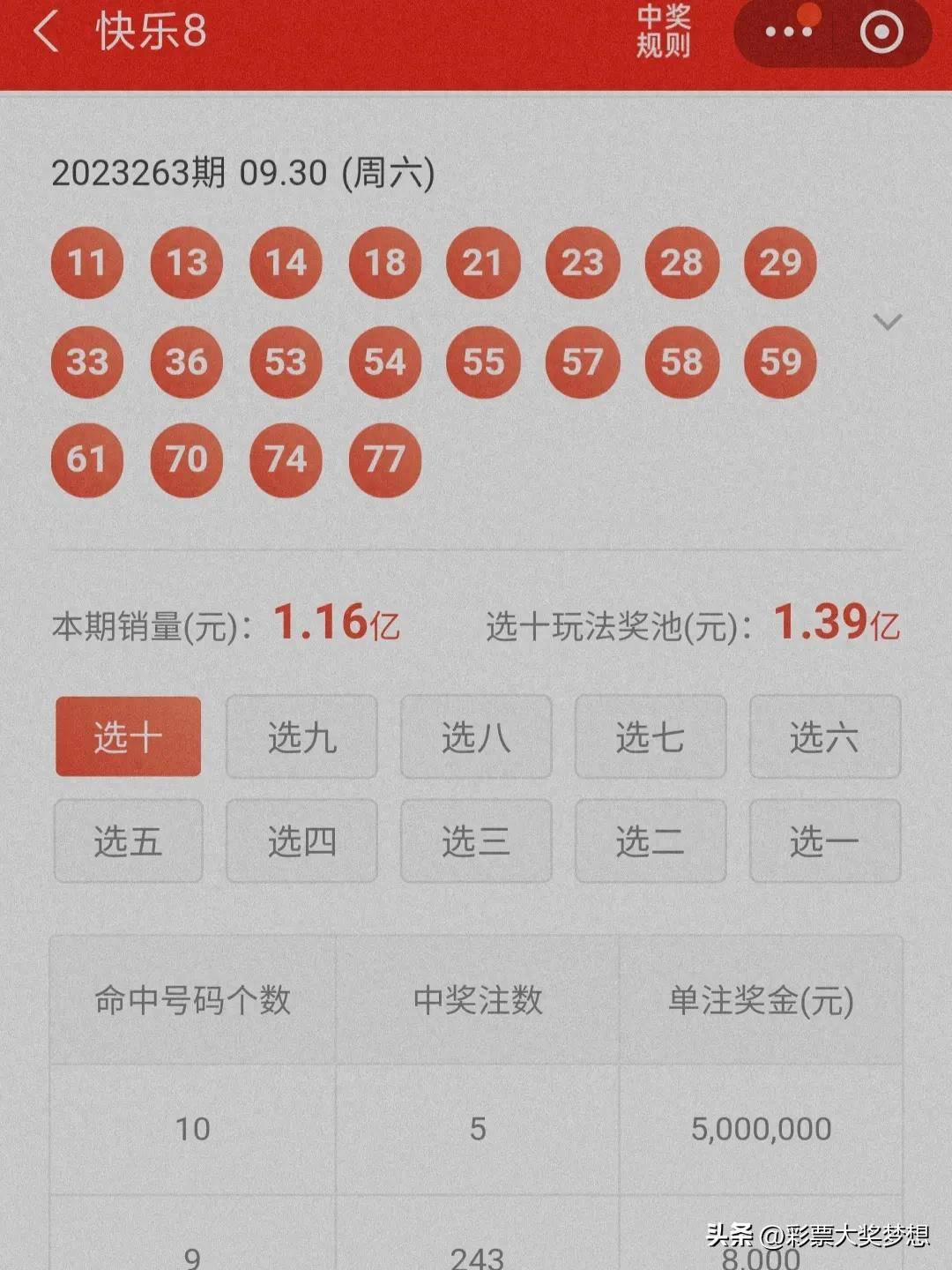 揭秘王中王四肖必中一肖中特，深度解析與SEO優(yōu)化策略，揭秘王中王四肖必中一肖中特，深度解析與SEO策略全攻略