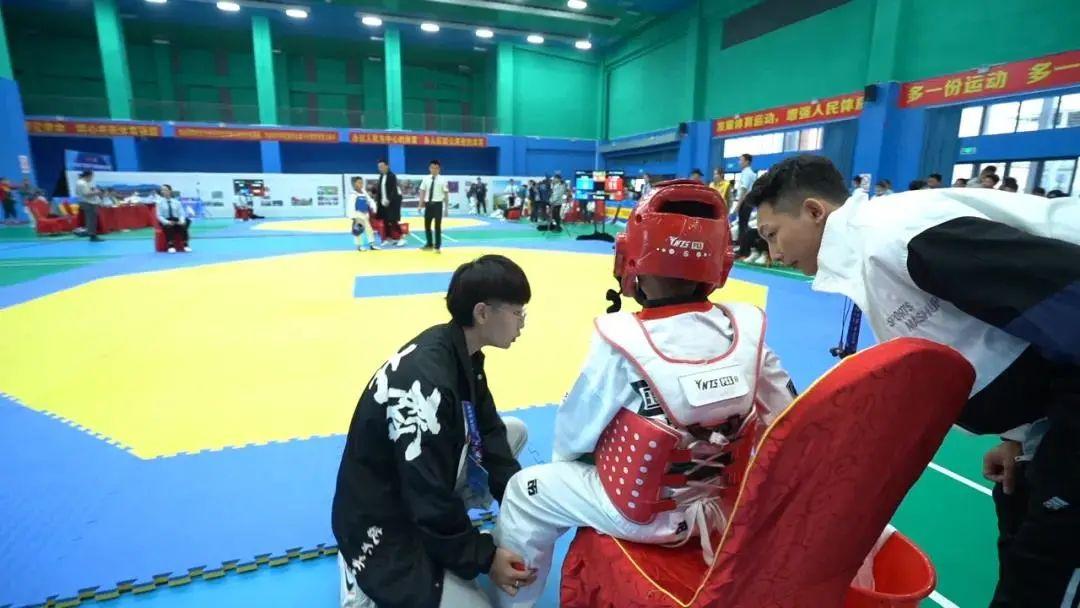 2021王中王資料一肖，深度解析與探索，揭秘王中王資料一肖，深度解析與探索