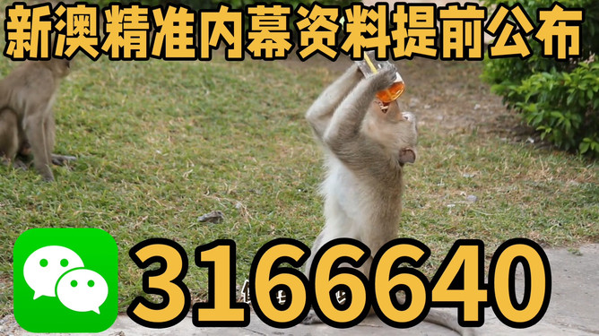 探索澳門特馬文化，四不像的獨(dú)特魅力與未來展望（關(guān)鍵詞，澳門特馬四不像），澳門特馬四不像文化深度探索，魅力、展望與未來發(fā)展