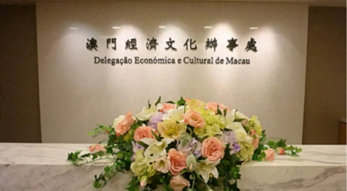 澳門一碼一肖一待一中四不像——揭開神秘面紗下的真相，澳門神秘事件揭秘，一碼一肖一待一中四不像真相探索