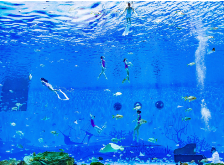 海昌海洋公園門票價格詳解，海昌海洋公園門票價格全面解析