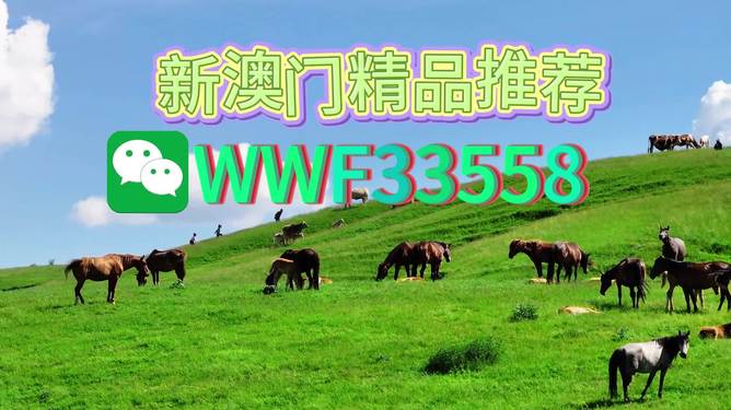 揭秘精準預(yù)測一肖的秘密，解碼77777與88888的神秘數(shù)字組合，揭秘精準預(yù)測生肖的秘密，數(shù)字組合77777與88888的神秘解碼