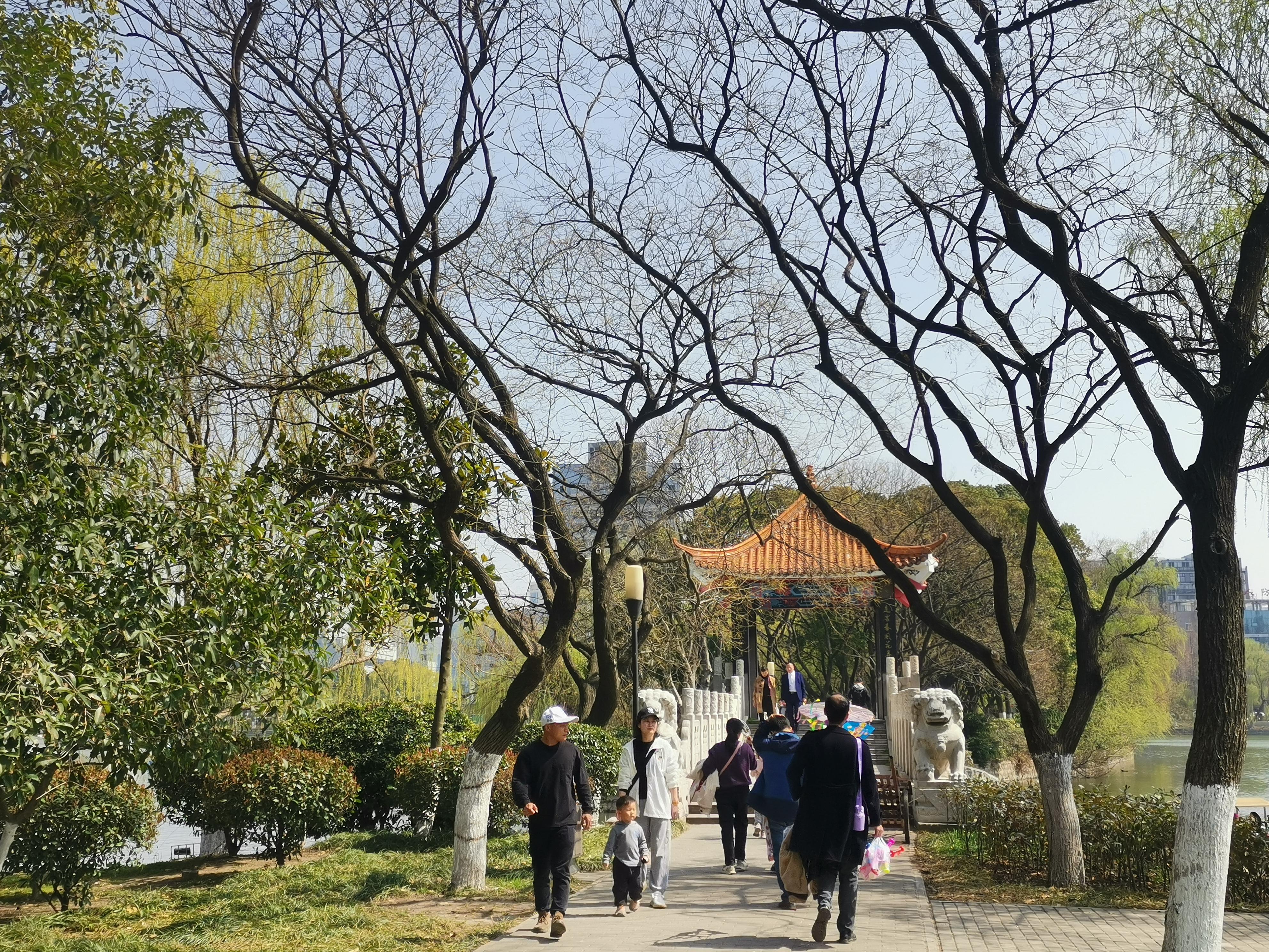 澳門75期最快天天開獎(jiǎng)，揭秘彩票背后的秘密與策略，澳門75期天天開獎(jiǎng)揭秘，彩票背后的秘密與策略探究