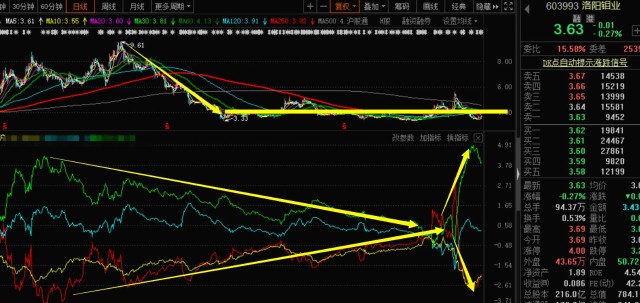 關(guān)于股票行情分析，聚焦代碼為000838的股票動態(tài)，股票行情分析，聚焦代碼為000838的股票走勢動態(tài)