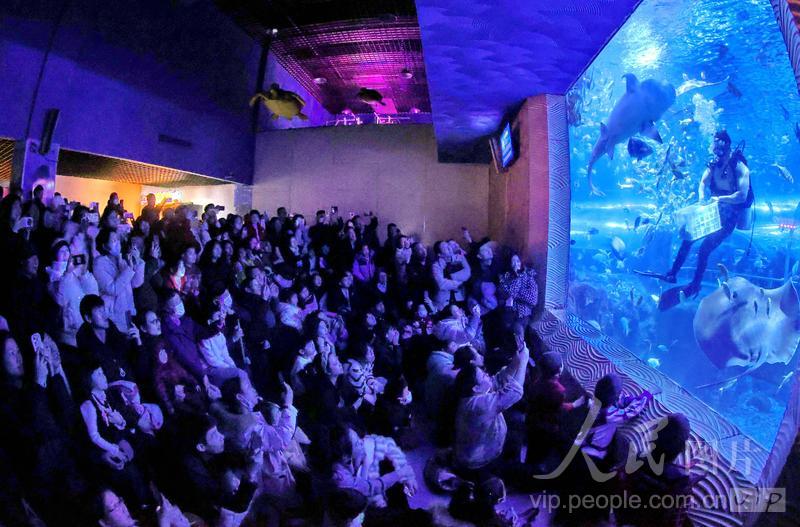 新澳2025今晚開(kāi)獎(jiǎng)結(jié)果，揭秘彩票背后的秘密與期待，揭秘新澳2025彩票開(kāi)獎(jiǎng)背后的秘密與期待，今晚開(kāi)獎(jiǎng)結(jié)果揭曉！