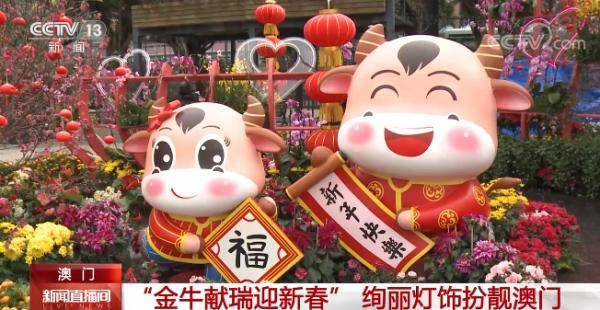 澳門金牛網(wǎng)金牛版論壇——探索與解析，澳門金牛網(wǎng)金牛版論壇，深度探索與解析