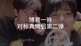 一肖拖一肖二中二有幾組——深度解析與探索，深度解析與探索，一肖拖一肖二中二有多少組組合？