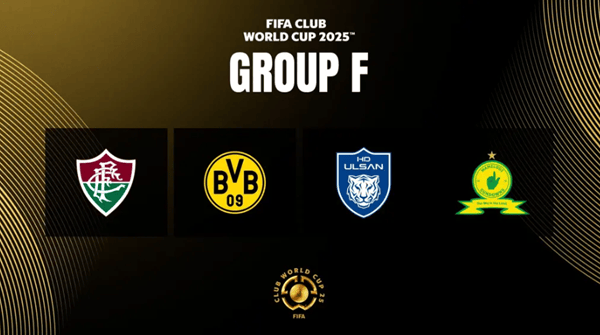 2025新澳正版資料精準(zhǔn)解析與預(yù)測(cè)，2025新澳正版資料精準(zhǔn)解析與趨勢(shì)預(yù)測(cè)