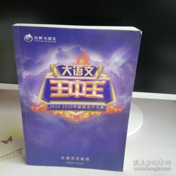 揭秘2019王中王資料一肖，全方位解讀背后的故事，揭秘王中王資料一肖背后的故事，全方位解讀與深度剖析