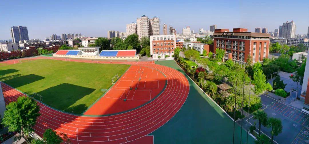 特平一肖王中王大公開，揭秘背后的秘密與策略，揭秘特平一肖王中王大策略與背后秘密