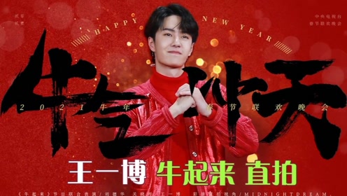 王中王一肖中特論壇鐵板，深度解析與SEO優(yōu)化策略，王中王一肖中特論壇鐵板深度解析與SEO優(yōu)化策略探討